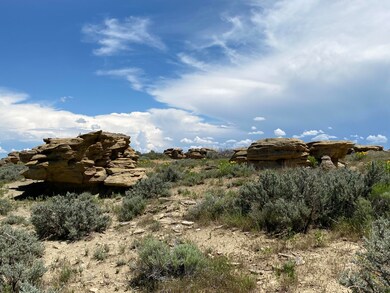 IMG_0511 (2)