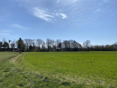 A view of the 6.59 acres looking up from the River! 