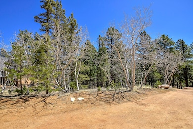 860 Spring Creek Dr, Divide, CO 80814 - photo 4
