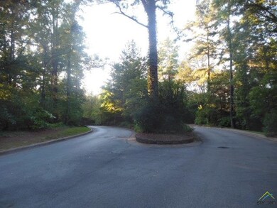 6125 Brixworth Dr, Tyler, TX 75703 - photo 4