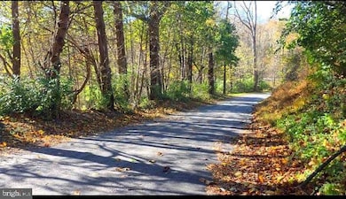 257 Wiley Mill Rd, New Park, PA 17352 - photo 6