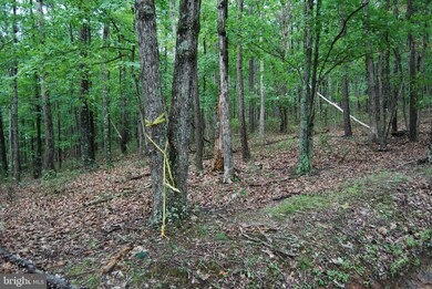 0 Pinewood Ln, Berkeley Springs, WV 25411 - photo 6