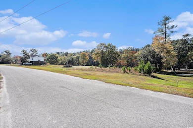 104 Lure Ct, Conway, SC 29526 - photo 6