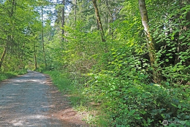 20825 Old Mill Rd SW, Vashon, WA 98070 - photo 3