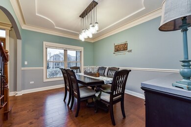 377 Andover Dr, Oswego, IL 60543 - photo 5