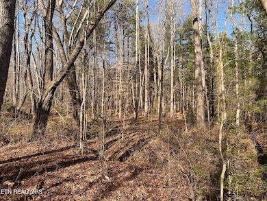 14.56 Acres Hwy 52, Robbins, TN 37852 - photo 2