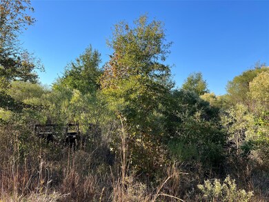 3711 Felix Currie Rd, Point Blank, TX 77364 - photo 6