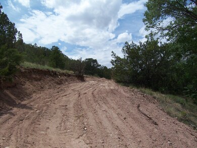 20 Paseo de San Antonio Rd, Placitas, NM 87043 - photo 7