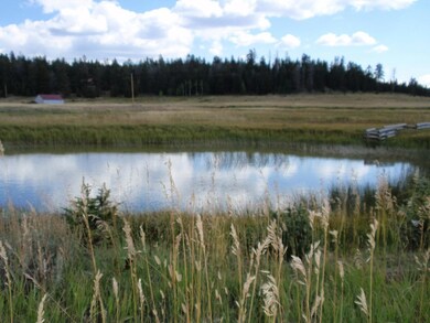 Creek Frontage