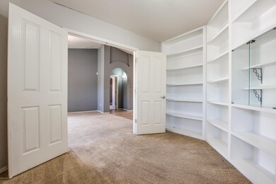 Den/Built-in Shelves