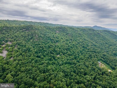 0 Rabbit Hill Rd, 4, Newport, VA 22835 - photo 7