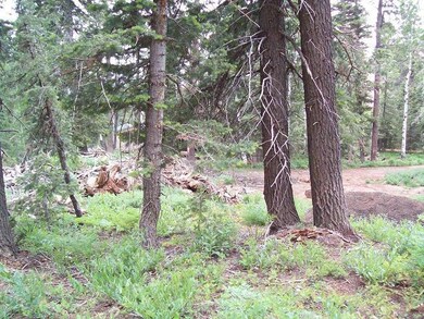 1460 W View Dr unit ZVME A-11, Duck Creek Village, UT 84762 - photo 6