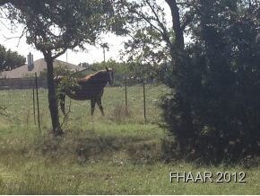 374 Falcon Ln, Kempner, TX 76539 - photo 5