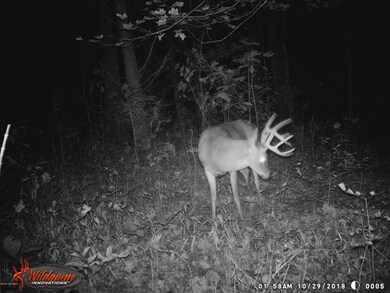 Tract 3 Mudlick Rd, Lawrenceburg, KY 40342 - photo 4