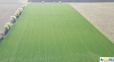 TBD Dove Rd, Moody, TX 76557 - photo 4