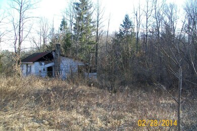 Old Homestead on smaller parcel