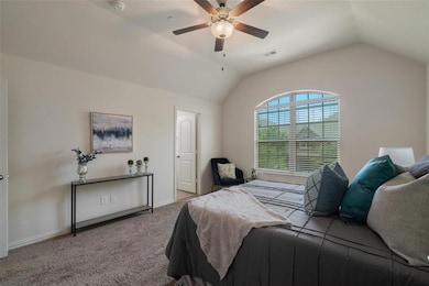 2233 Caniesto St, Plano, TX 75074 - photo 6