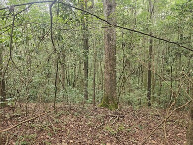 153-63 Houston Rd, Mount Olive, MS 39119 - photo 4