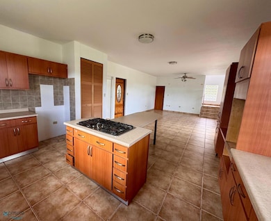 Km 1.1 Carr 802, Corozal, PR 00783 - photo 4