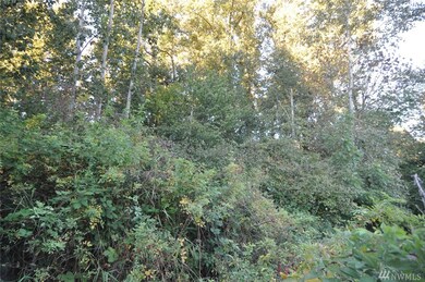 8 Garfield St, Sumas, WA 98295 - photo 6