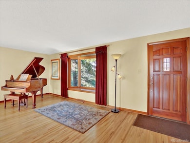 12798 Tomahawk Rd, Parker, CO 80138 - photo 6