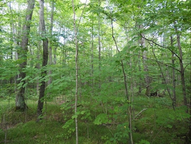 Lot 10 Eagle Waters Rd, Tomahawk, WI 54487 - photo 3
