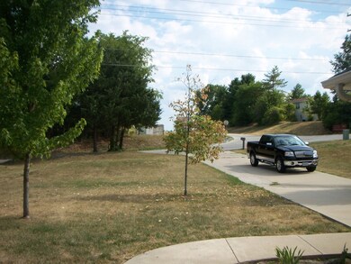 Front yard
