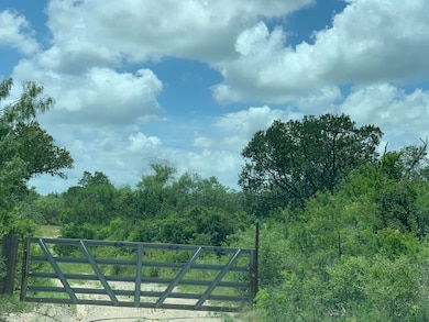 Sendero Creek Ranch Tract 6, San Diego, TX 78332 - photo 7