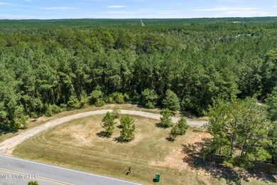2140 Central Firetower Rd, Lucedale, MS 39452 - photo 3