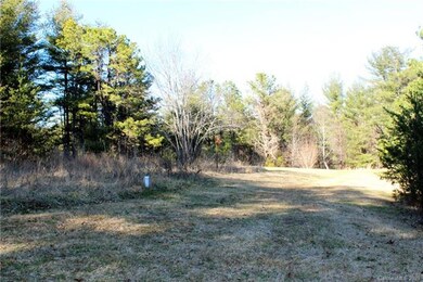 Where the garden once grew.