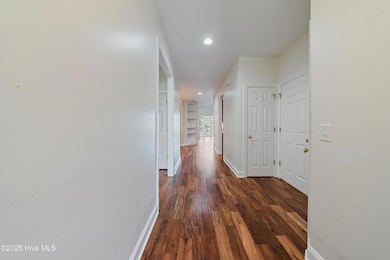 1005LittleEgretRun-6