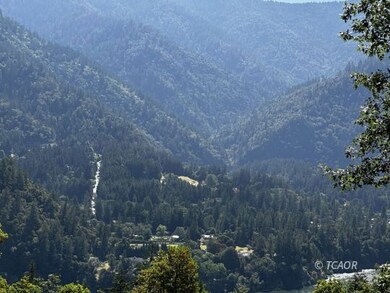 Gorgeous Willow Creek