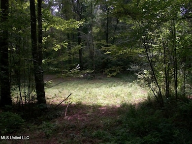 Tbd Oldenburg Rd, Meadville, MS 39653 - photo 5