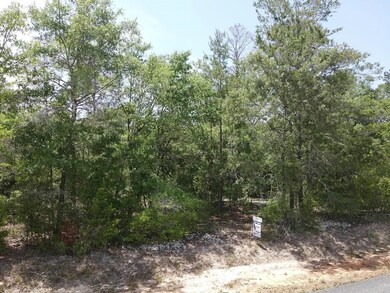 0 Central Rd unit 381525, Midway, FL 32344 - photo 5