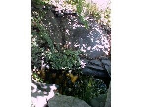 1411 Valley View Dr, Johnson City, TN 37601 - photo 7