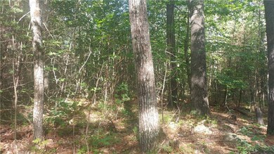 0 H Rd unit 1326139, Acton, ME 04001 - photo 4