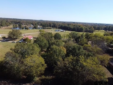 TBD County Road 2940, Alba, TX 75410 - photo 6