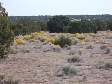 Elk Valley 259