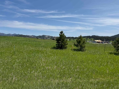 Lot 23 Park Ave unit Lot 23, BL 1 Stone H, Custer, SD 57730 - photo 4