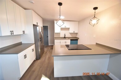 825 Lincoln Ave, Tarpon Springs, FL 34689 - photo 6