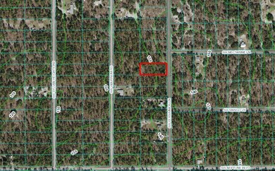 Lot 12 SW Persimmon Ln, Dunnellon, FL 34431 - photo 4