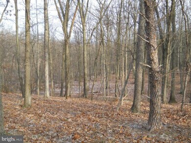 0 Mays Chapel Rd, Warfordsburg, PA 17267 - photo 6