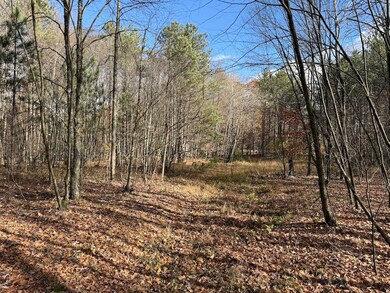 00 Carnes School Rd Lot unit WP001, Cranberry, PA 16319 - photo 7