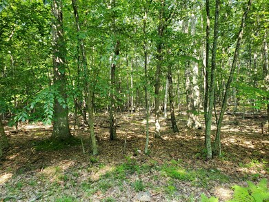 Lot 799 Tink Wig Dr, Lackawaxen Township, PA 18428 - photo 4