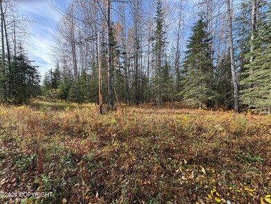 40 acres Strawberry (3)