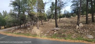 301 Excalibur Rd, Ruidoso, NM 88345 - photo 3