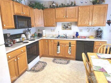 3102 Blue Goose Ct, Hendersonville, NC 28792 - photo 6