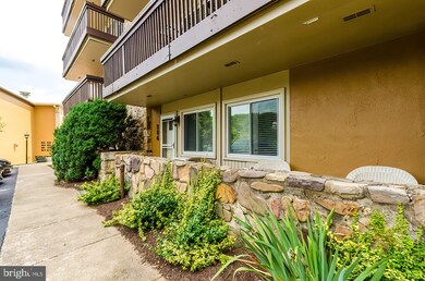 1836 Fairway Dr unit 204, Basye, VA 22810 - photo 4