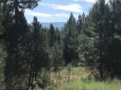 Beautiful Views and Wooded Privacy