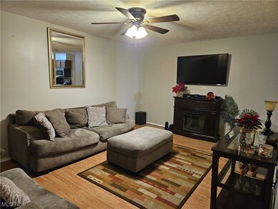 29538 Catawba St, Wickliffe, OH 44092 - photo 3